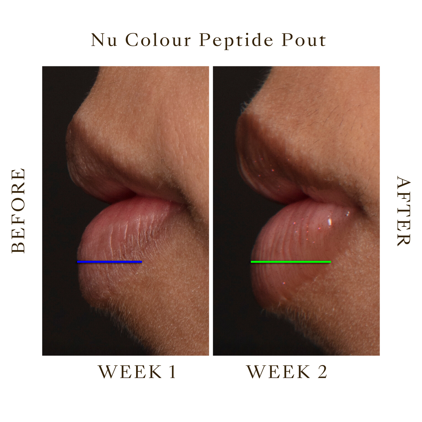 Back to School Sale - Lip Peptide Pout